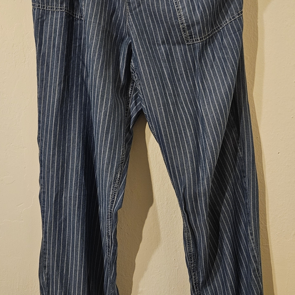 Indigo Rein Denim with White Stripes